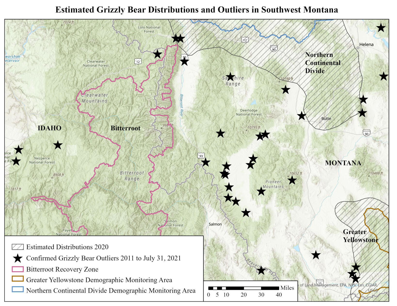 FWP warns of recent bear activity in Upper Clark Fork, Bitterroot valleys